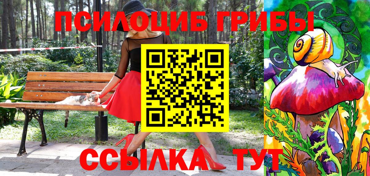 Псилоцибиновые грибы GOLDEN TEACHER Сочи